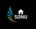 Sonu home furnishings